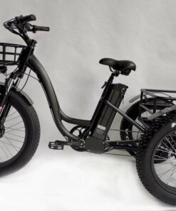 BaFang 750W Fat Tire Electric Tricycle, 23 mph, 55 Mile Range, Samsung Battery, Shimano 7-Speed