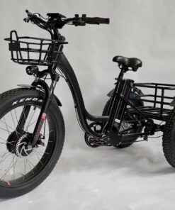 BaFang 750W Fat Tire Electric Trike - All-Terrain 48V Tricycle with Samsung Battery, Dual Suspension, Shimano 7-Speed, 350 lbs Capacity